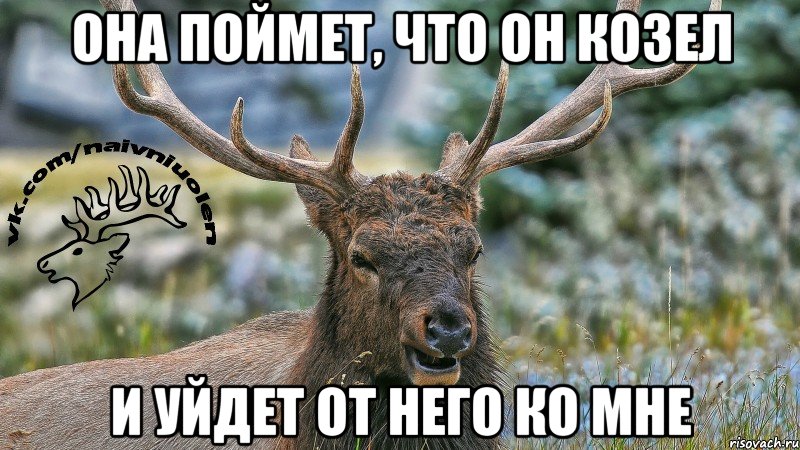 Она поймет, что он козел И уйдет от него ко мне