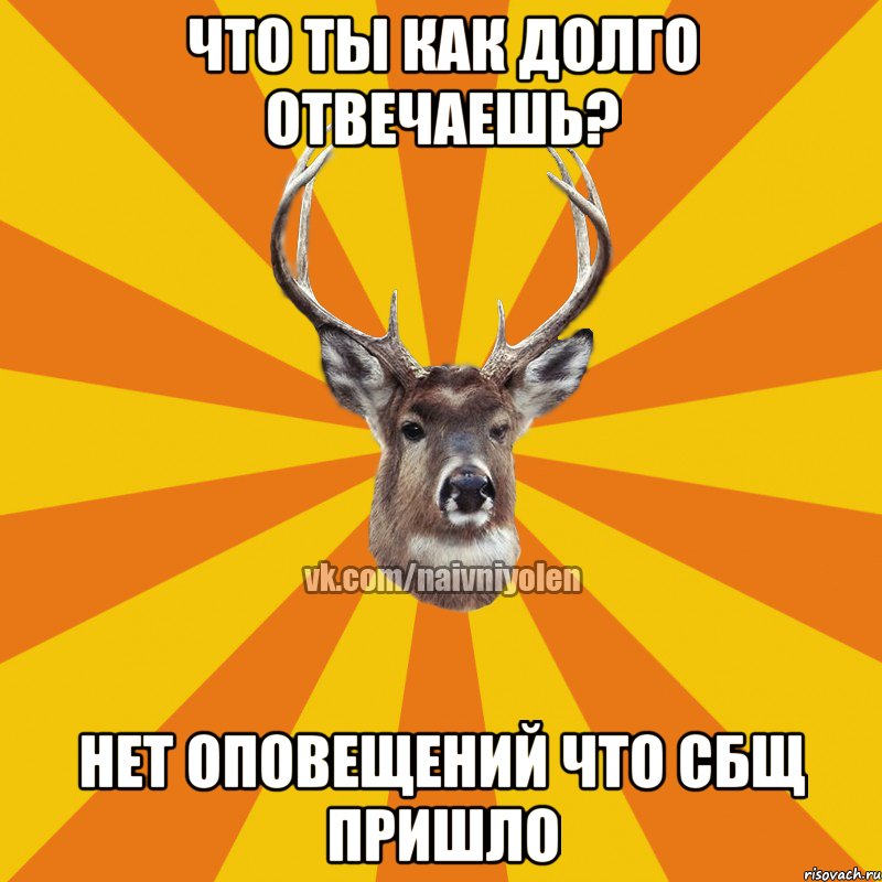 что ты как долго отвечаешь? Нет оповещений что сбщ пришло, Мем Наивный Олень вк