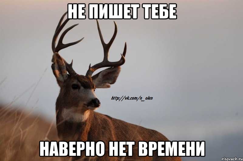 не пишет тебе наверно нет времени
