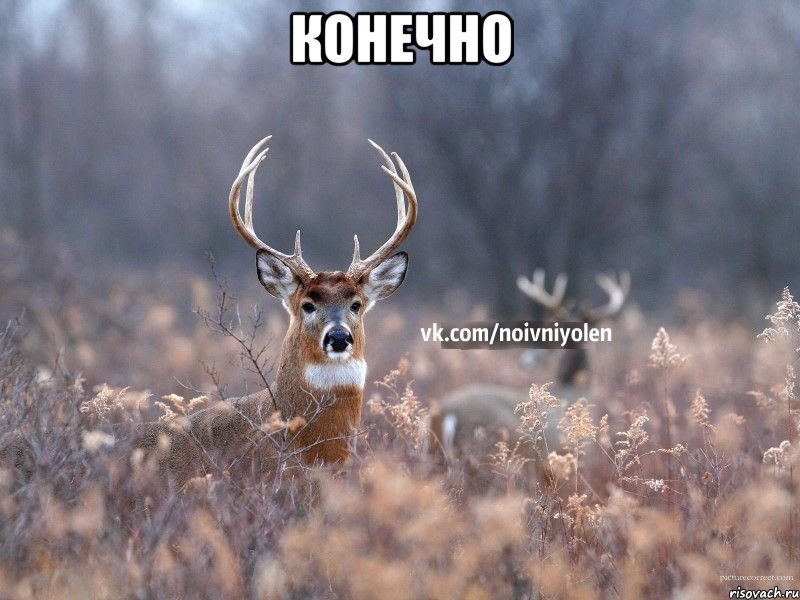 конечно 