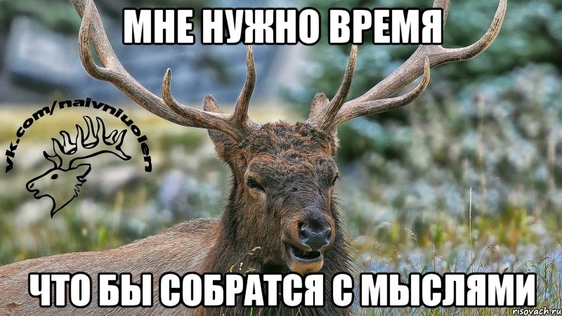 Мне нужно время Что бы собратся с мыслями
