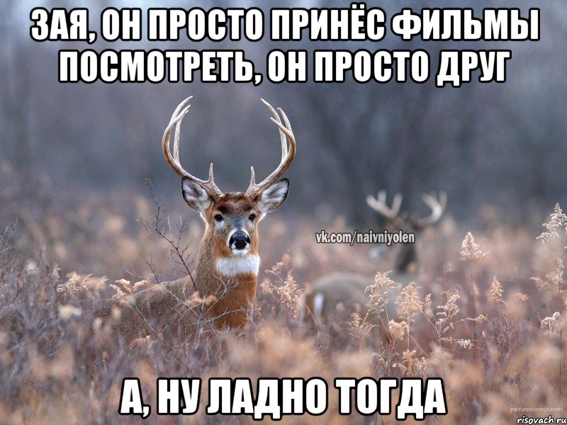 Зая, он просто принёс фильмы посмотреть, он просто друг а, ну ладно тогда, Мем   Наивный олень