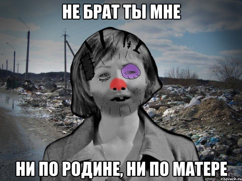 НЕ БРАТ ТЫ МНЕ НИ ПО РОДИНЕ, НИ ПО МАТЕРЕ