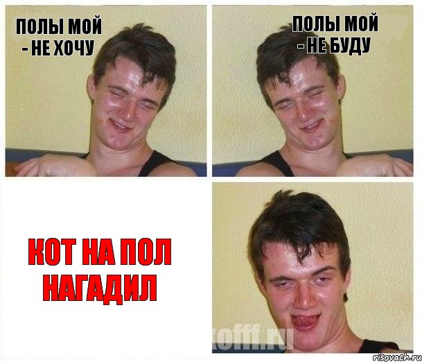 Полы мой - не хочу Полы мой - не буду Кот на пол нагадил