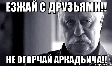 Езжай с друзьями!! Не огорчай Аркадьича!!, Мем Не огорчай Леонида Аркадьевича