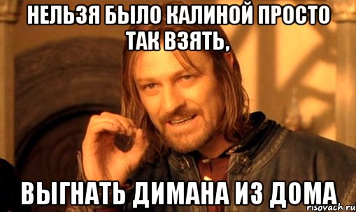 нельзя было калиной просто так взять, выгнать димана из дома, Мем Нельзя просто так взять и (Боромир мем)