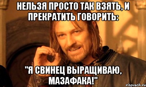Нельзя просто так взять, и прекратить говорить: "Я свинец выращиваю, мазафака!", Мем Нельзя просто так взять и (Боромир мем)