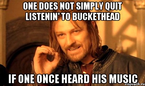 One does not simply quit listenin' to Buckethead If one once heard his music, Мем Нельзя просто так взять и (Боромир мем)