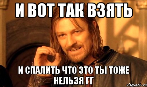 и вот так взять и спалить что это ты тоже нельзя гг, Мем Нельзя просто так взять и (Боромир мем)