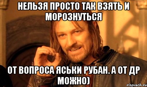 Нельзя просто так взять и морознуться от вопроса Яськи Рубан. А от ДР можно), Мем Нельзя просто так взять и (Боромир мем)
