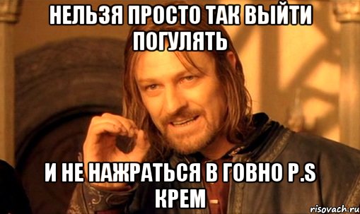 нельзя просто так выйти погулять и не нажраться в говно P.S Крем, Мем Нельзя просто так взять и (Боромир мем)