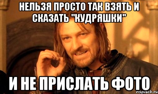 Нельзя просто так взять и сказать "Кудряшки" И не прислать фото, Мем Нельзя просто так взять и (Боромир мем)