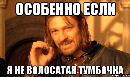 Особенно если я не волосатая тумбочка, Мем Нельзя просто так взять и (Боромир мем)