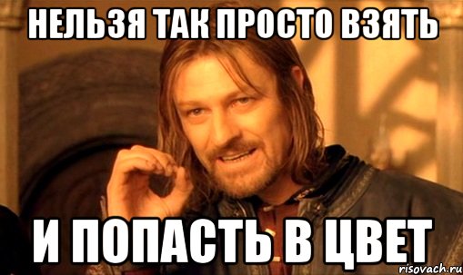 нельзя так просто взять и попасть в цвет, Мем Нельзя просто так взять и (Боромир мем)