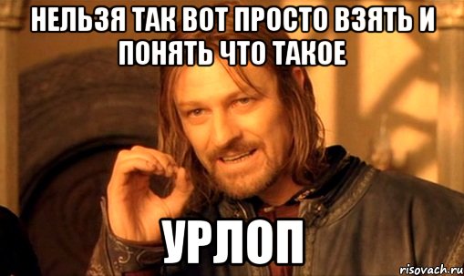 Нельзя так вот просто взять и понять что такое УРЛОП, Мем Нельзя просто так взять и (Боромир мем)