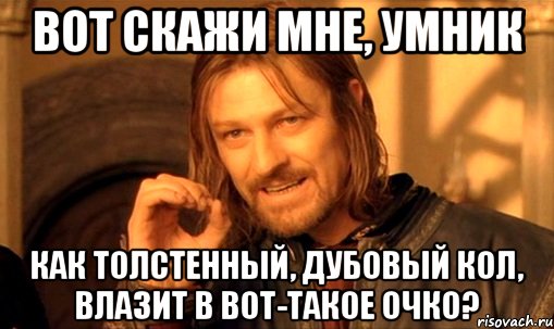 Вот скажи мне, умник Как толстенный, дубовый кол, влазит в вот-такое очко?, Мем Нельзя просто так взять и (Боромир мем)