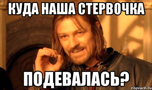 Куда наша стервочка подевалась?, Мем Нельзя просто так взять и (Боромир мем)