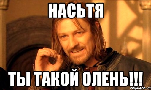 Насьтя Ты такой Олень!!!, Мем Нельзя просто так взять и (Боромир мем)