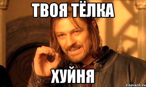 Твоя тёлка Хуйня, Мем Нельзя просто так взять и (Боромир мем)