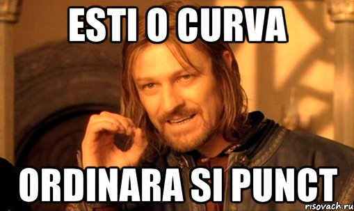 Esti o curva ordinara si punct, Мем Нельзя просто так взять и (Боромир мем)