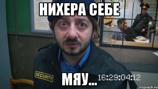 нихера себе мяу...