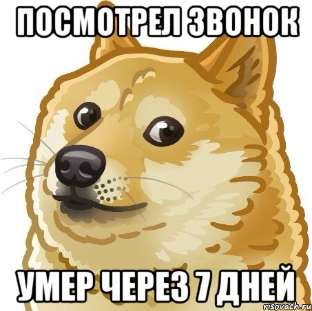 посмотрел звонок умер через 7 дней