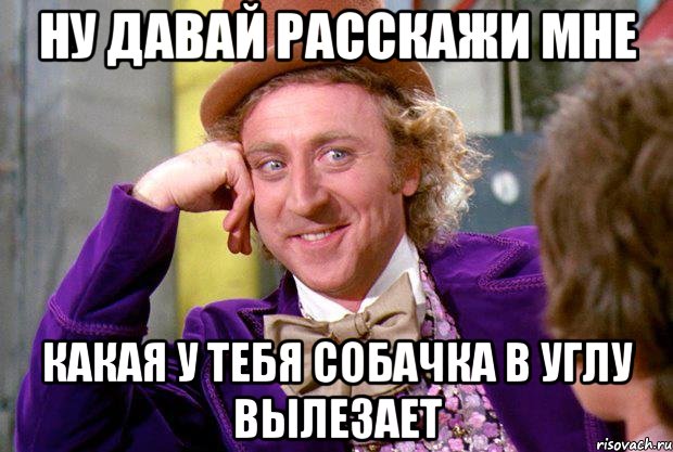 ну давай расскажи мне какая у тебя собачка в углу вылезает, Мем Ну давай расскажи (Вилли Вонка)