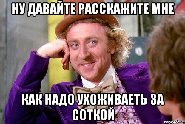 ну давайте расскажите мне как надо ухоживаеть за соткой, Мем Ну давай расскажи (Вилли Вонка)