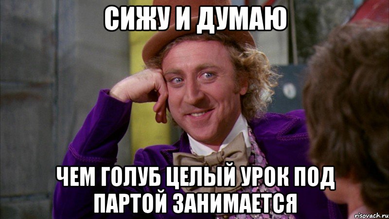 Сижу и думаю Чем голуб целый урок под партой занимается, Мем Ну давай расскажи (Вилли Вонка)