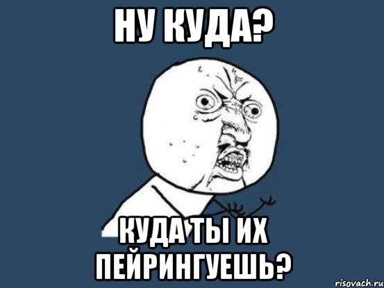 НУ КУДА? КУДА ТЫ ИХ ПЕЙРИНГУЕШЬ?, Мем Ну почему