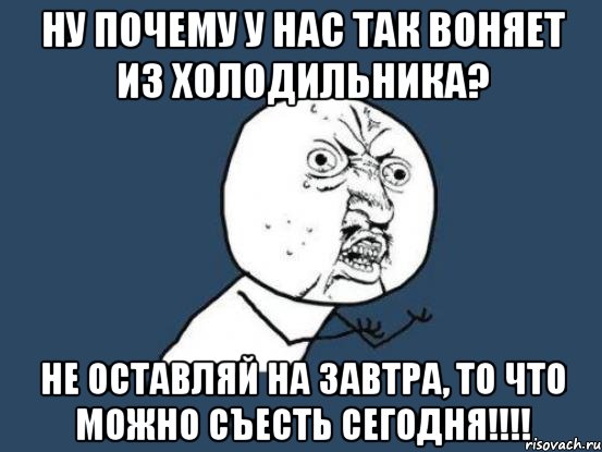 Ну почему у нас так воняет из холодильника? Не оставляй на завтра, то что можно съесть сегодня!!!!, Мем Ну почему