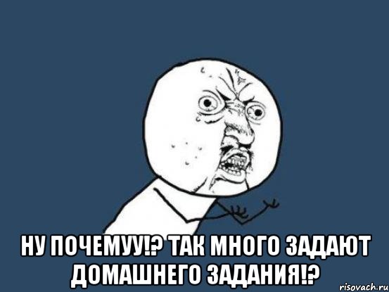  ну почемуу!? так много задают домашнего задания!?, Мем Ну почему