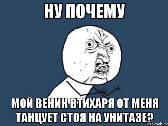 ну почему мой веник втихаря от меня танцует стоя на унитазе?, Мем Ну почему