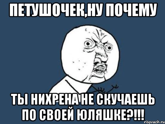 ПЕТУШОЧЕК,НУ ПОЧЕМУ ТЫ НИХРЕНА НЕ СКУЧАЕШЬ ПО СВОЕЙ ЮЛЯШКЕ?!!!, Мем Ну почему