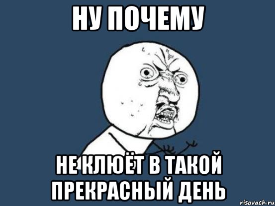 Ну почему не клюёт в такой прекрасный день, Мем Ну почему