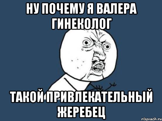 ну почему я валера гинеколог такой привлекательный жеребец, Мем Ну почему