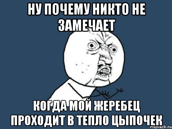 ну почему никто не замечает когда мой жеребец проходит в тепло цыпочек, Мем Ну почему