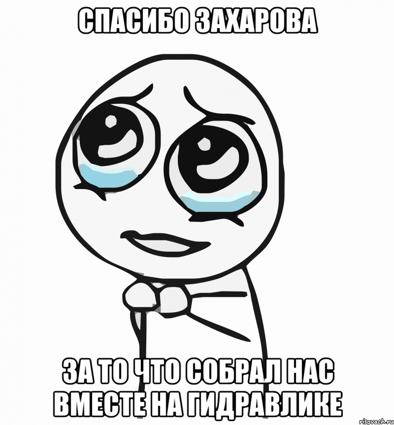 Спасибо Захарова за то что собрал нас вместе на гидравлике, Мем  ну пожалуйста (please)