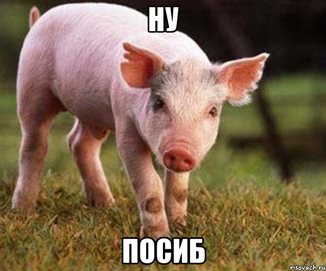 ну посиб, Мем ну спасибо
