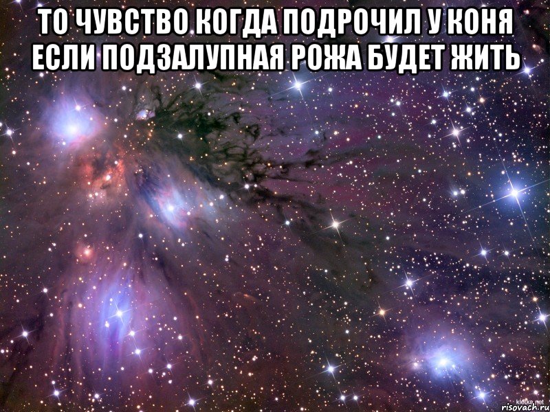 то чувство когда подрочил у коня если подзалупная рожа будет жить , Мем Космос