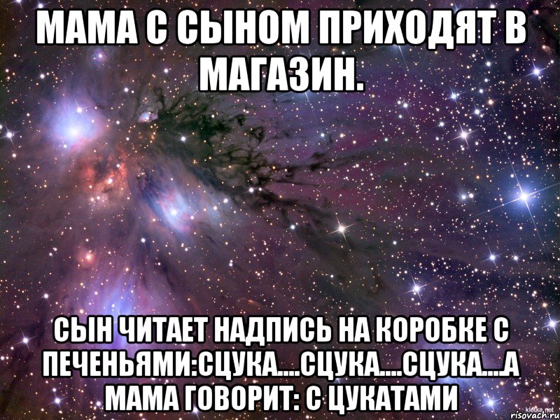 Мама с сыном приходят в магазин. сын читает надпись на коробке с печеньями:сцука....сцука....сцука....а мама говорит: с цукатами, Мем Космос