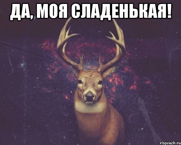 Да, моя сладенькая! , Мем  олень наивный