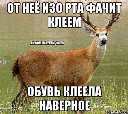 От неё изо рта фачит клеем Обувь клеела наверное
