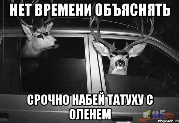 НЕТ ВРЕМЕНИ ОБЪЯСНЯТЬ СРОЧНО НАБЕЙ ТАТУХУ С ОЛЕНЕМ