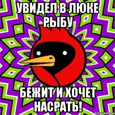 увидел в люке рыбу бежит и хочет насрать!, Мем Омская птица