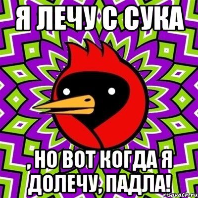 я лечу с сука , но вот когда я долечу, падла!, Мем Омская птица