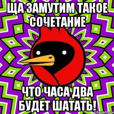 Ща замутим такое сочетание что часа два будет шатать!, Мем Омская птица