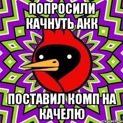 попросили качнуть акк поставил комп на качелю, Мем Омская птица