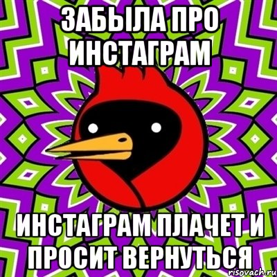 Забыла про инстаграм Инстаграм плачет и просит вернуться, Мем Омская птица