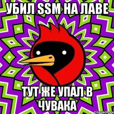 Убил SSM на лаве тут же упал в чувака, Мем Омская птица